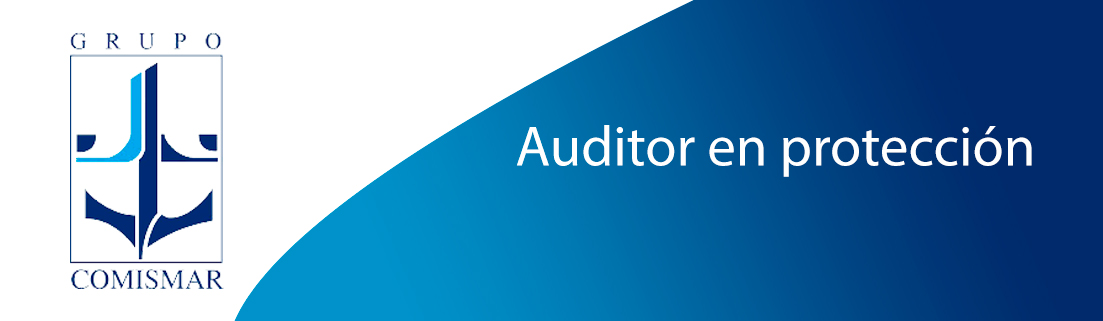 Auditor en protección